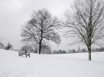 Brockwell Park in the Snow Series